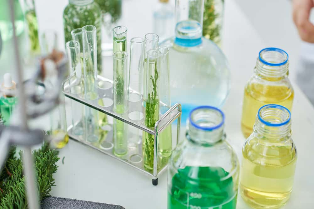 Surrounded by Idiots Facts