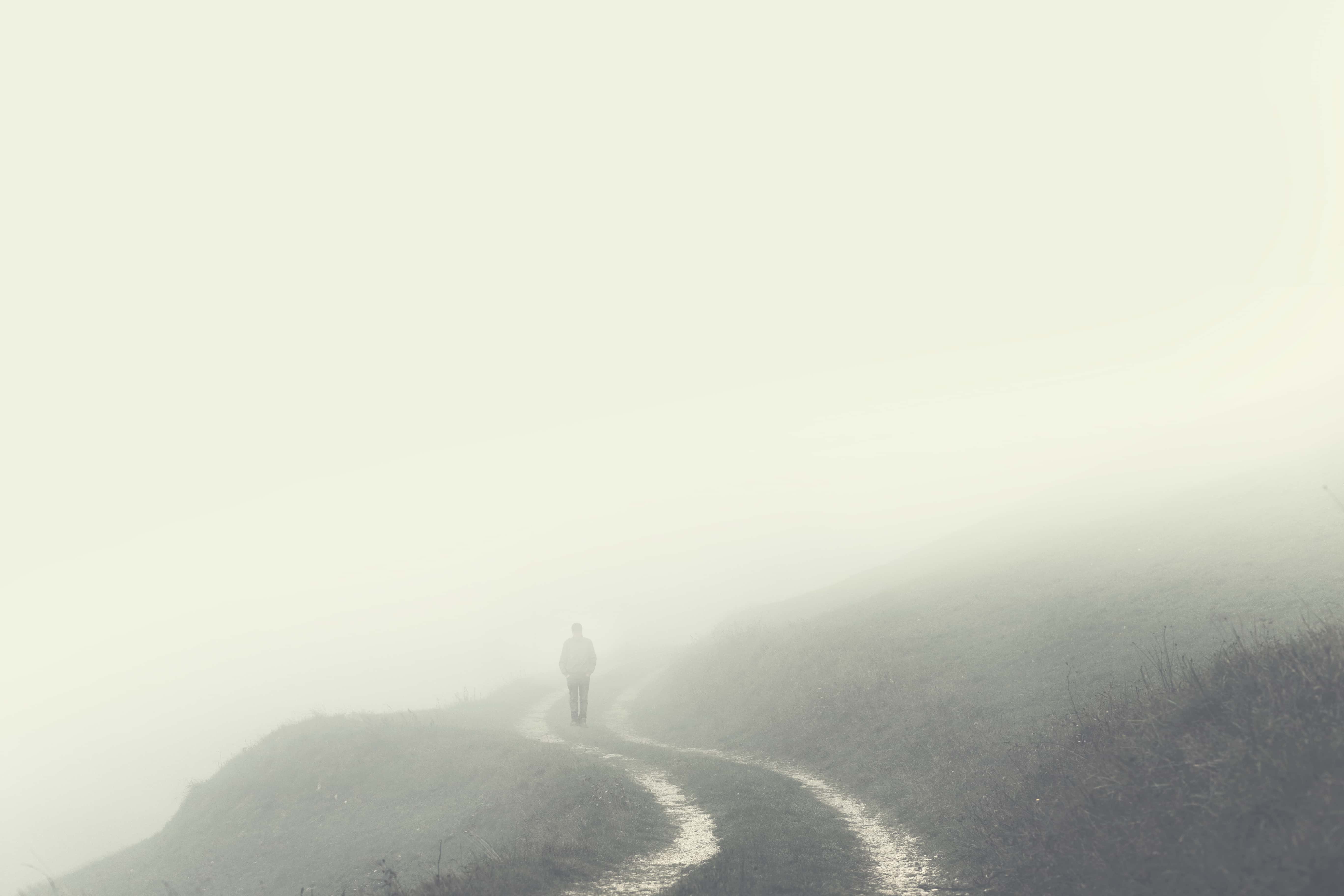 Dramatic Class Reunion Stories facts