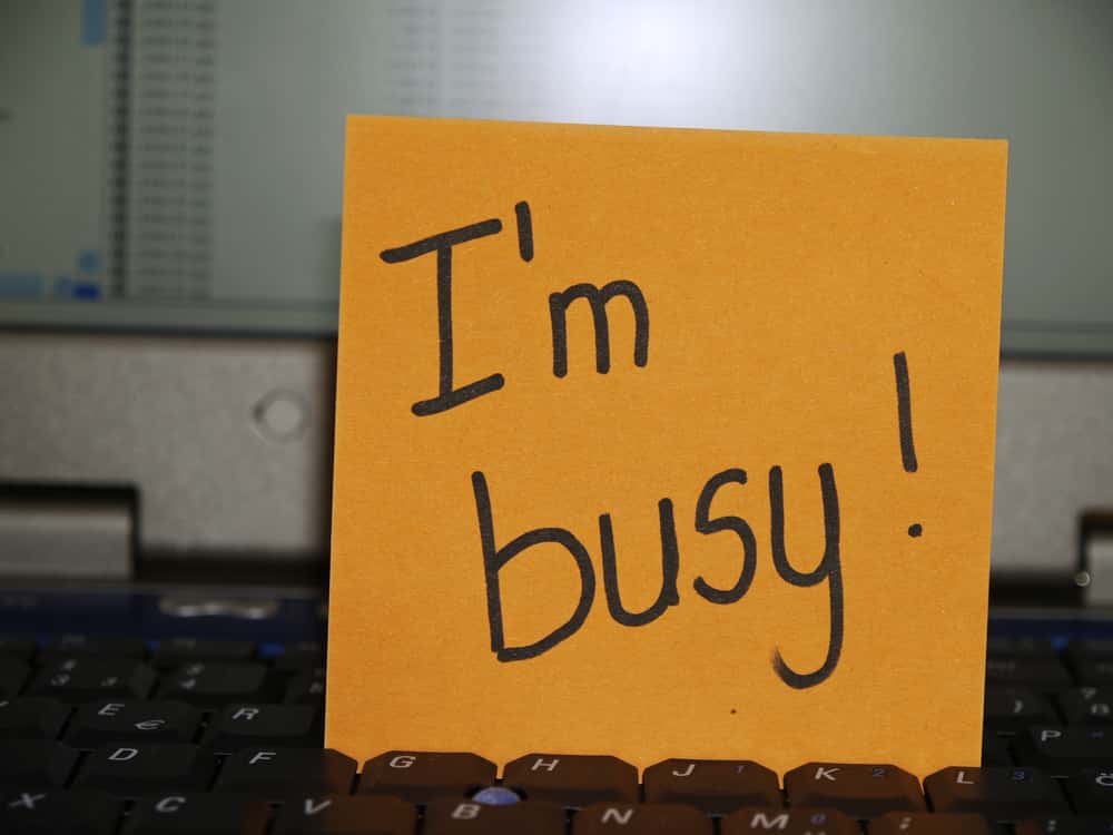 Lost Best Friend Facts