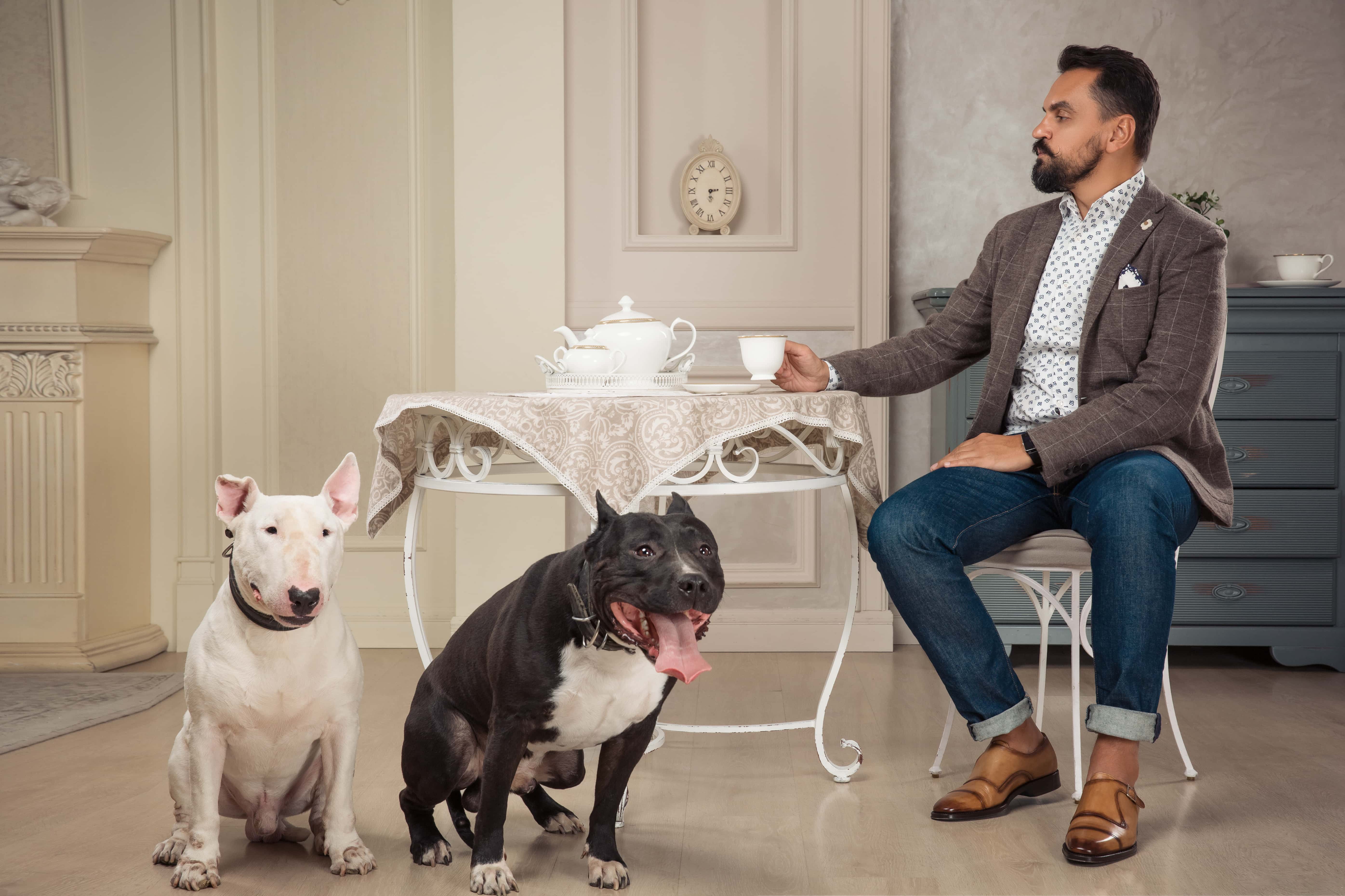 Caught on Home Security Cameras facts