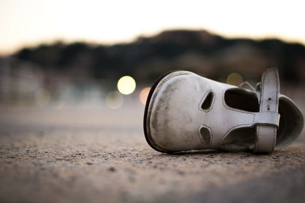 Not The Brightest Kids Facts