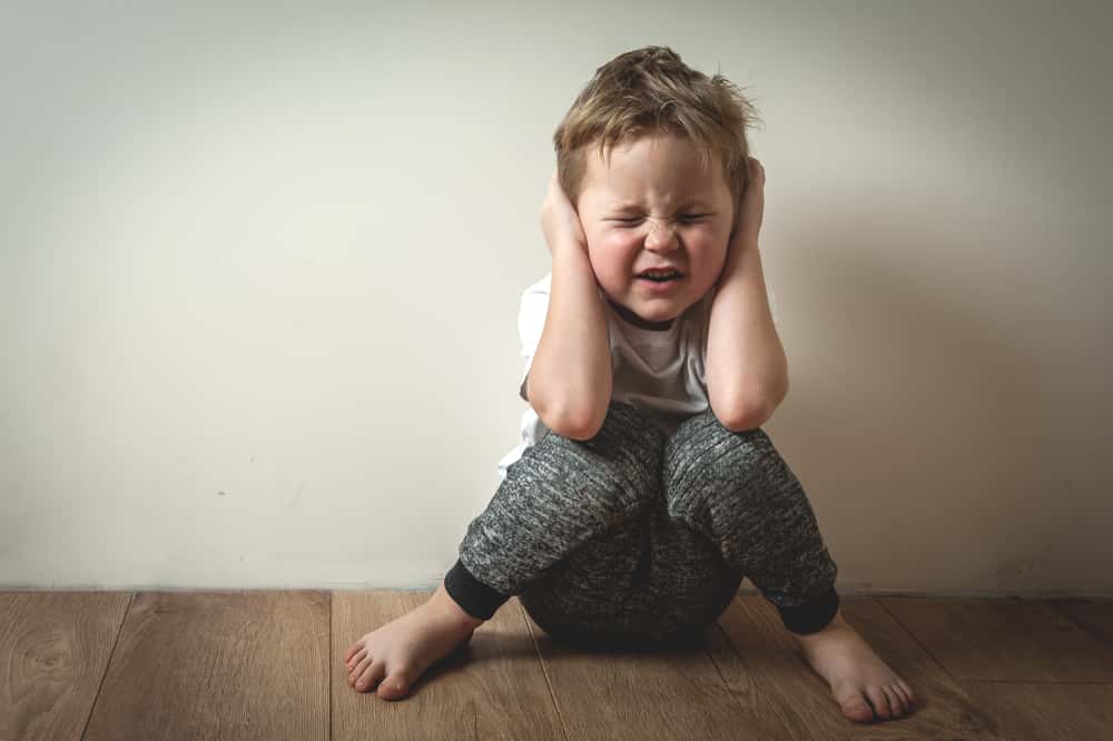 Not The Brightest Kids Facts