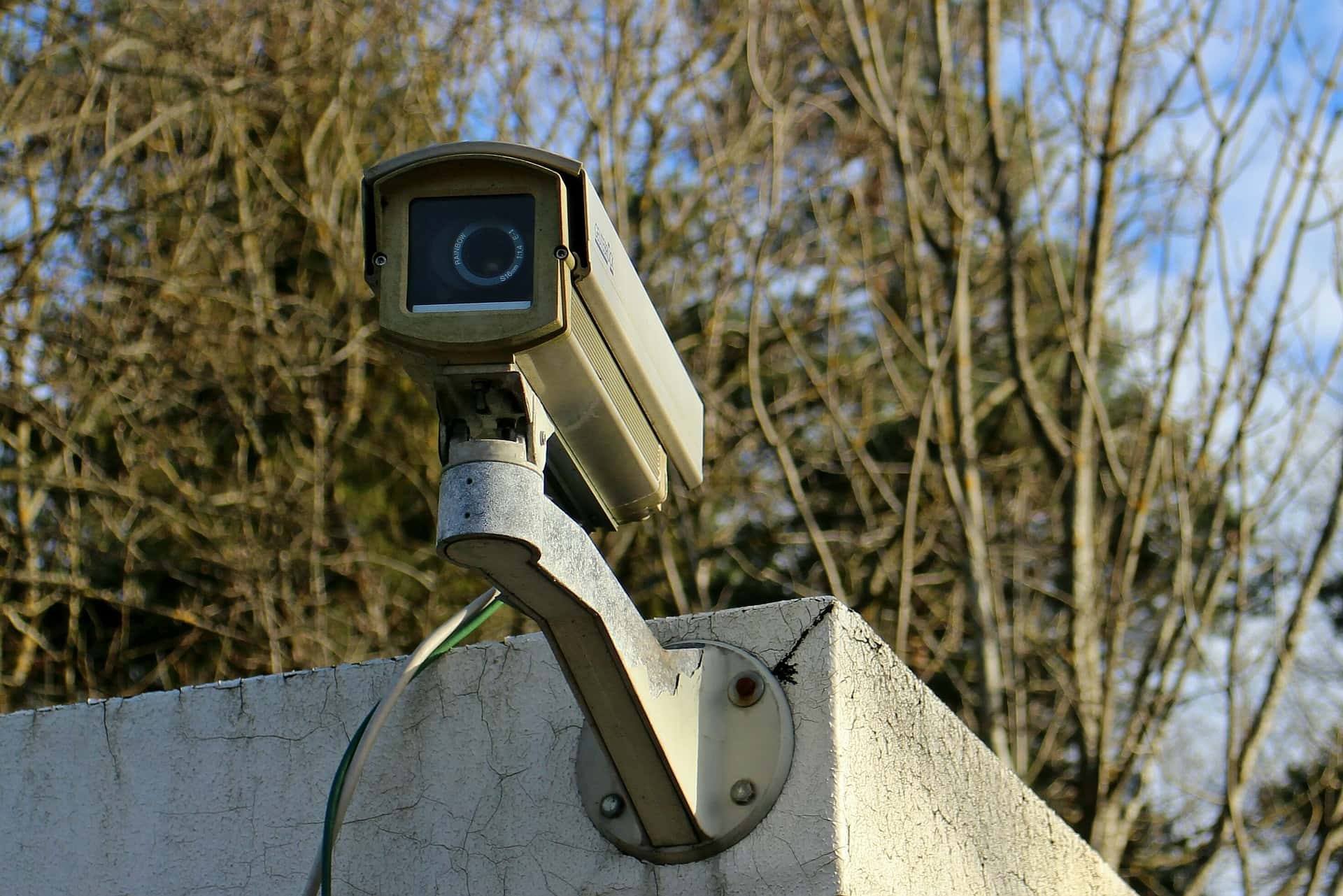 Caught on Home Security Cameras facts