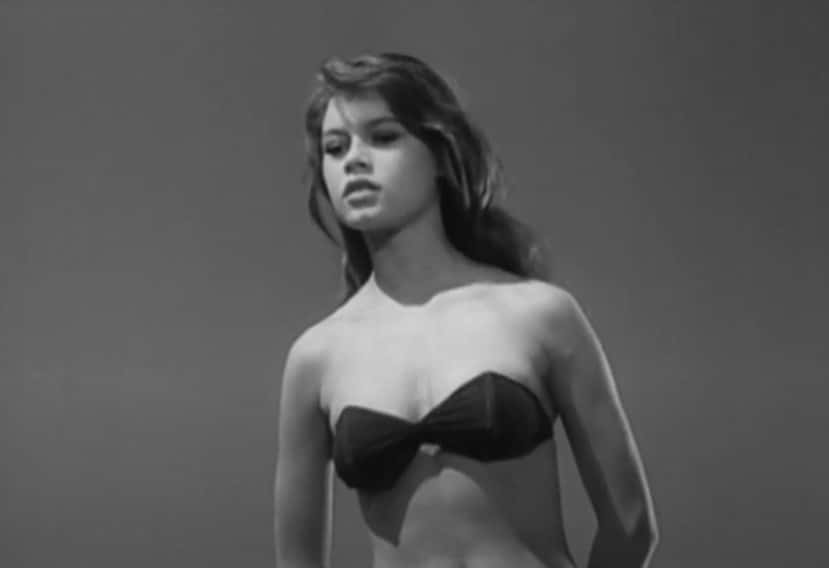 Brigitte Bardot facts