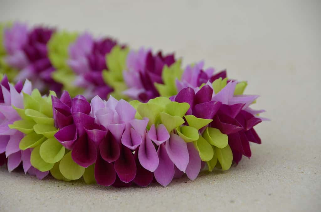 Whole Class Laughed Facts