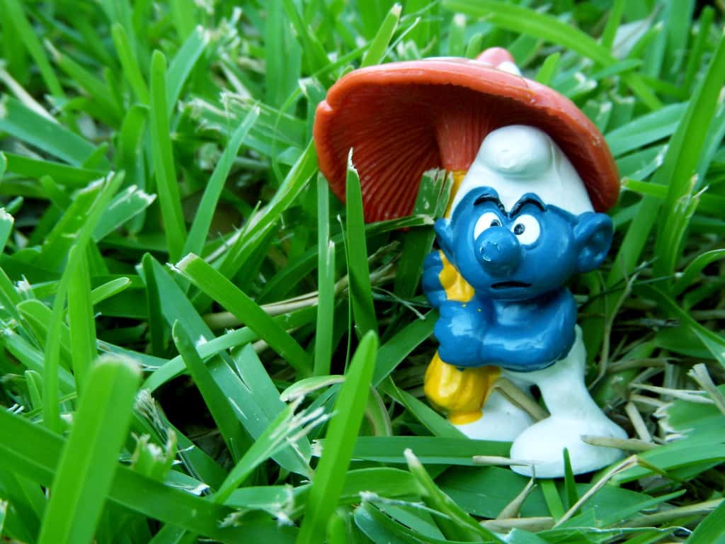 Dumb Things Believed As A Child Facts