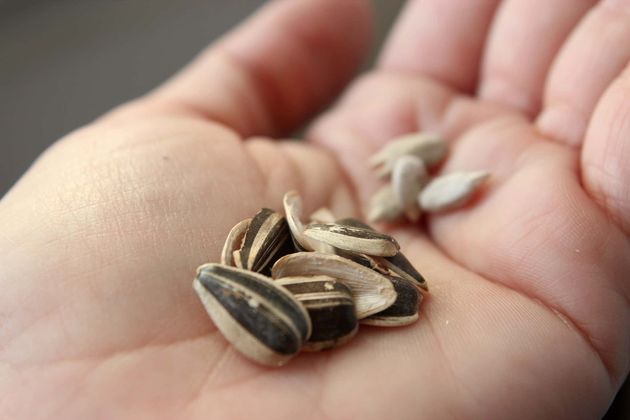 Dumb Things Believed As A Child Facts