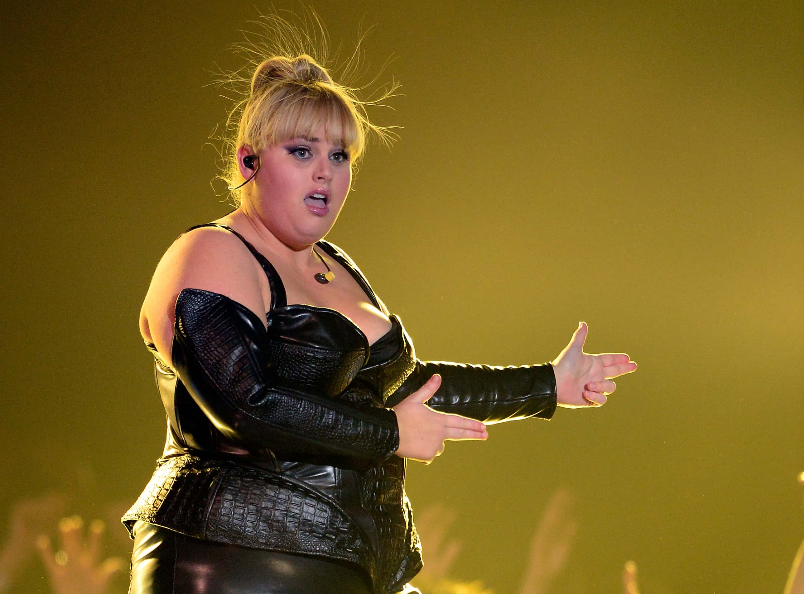 Rebel Wilson Facts
