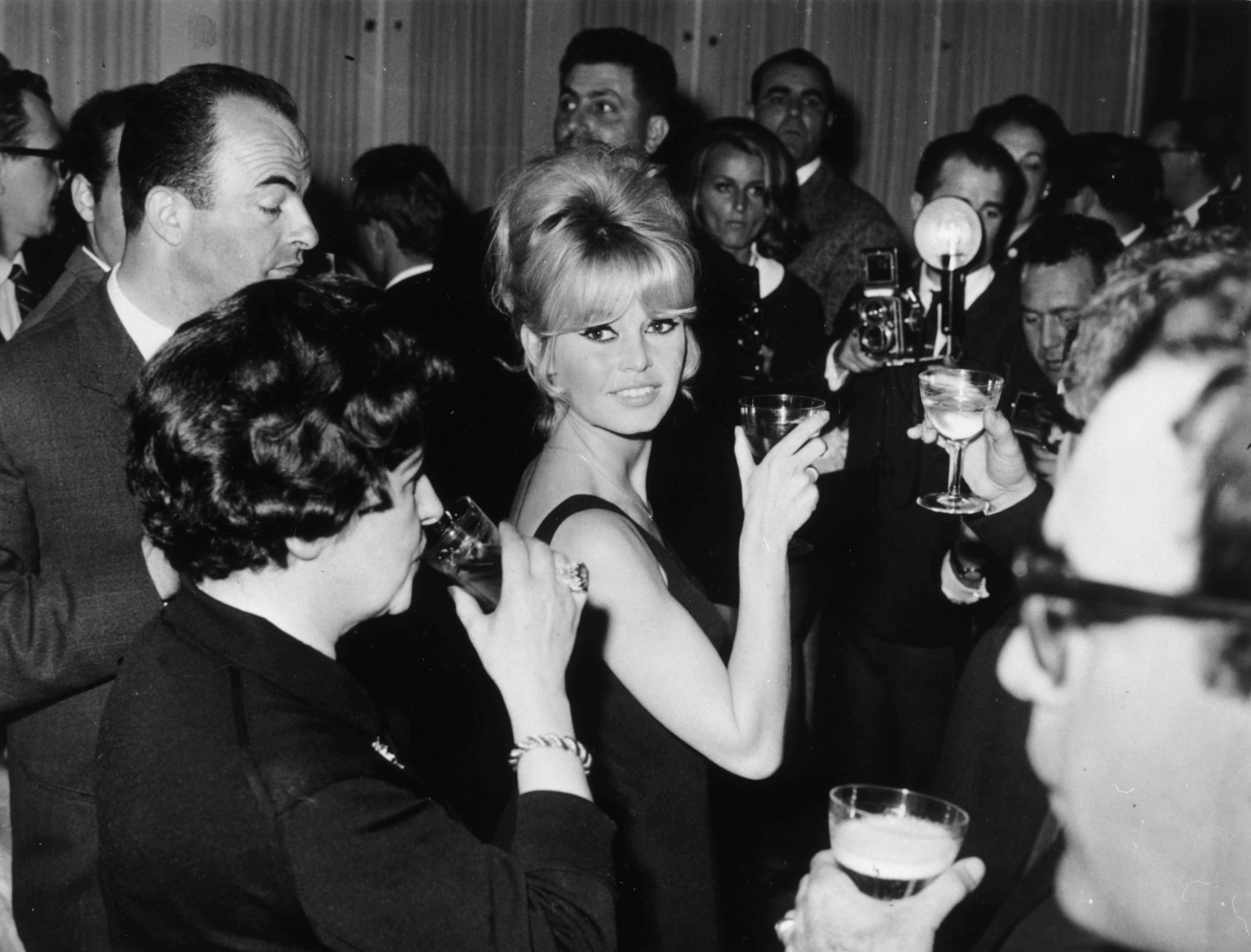 Brigitte Bardot Facts