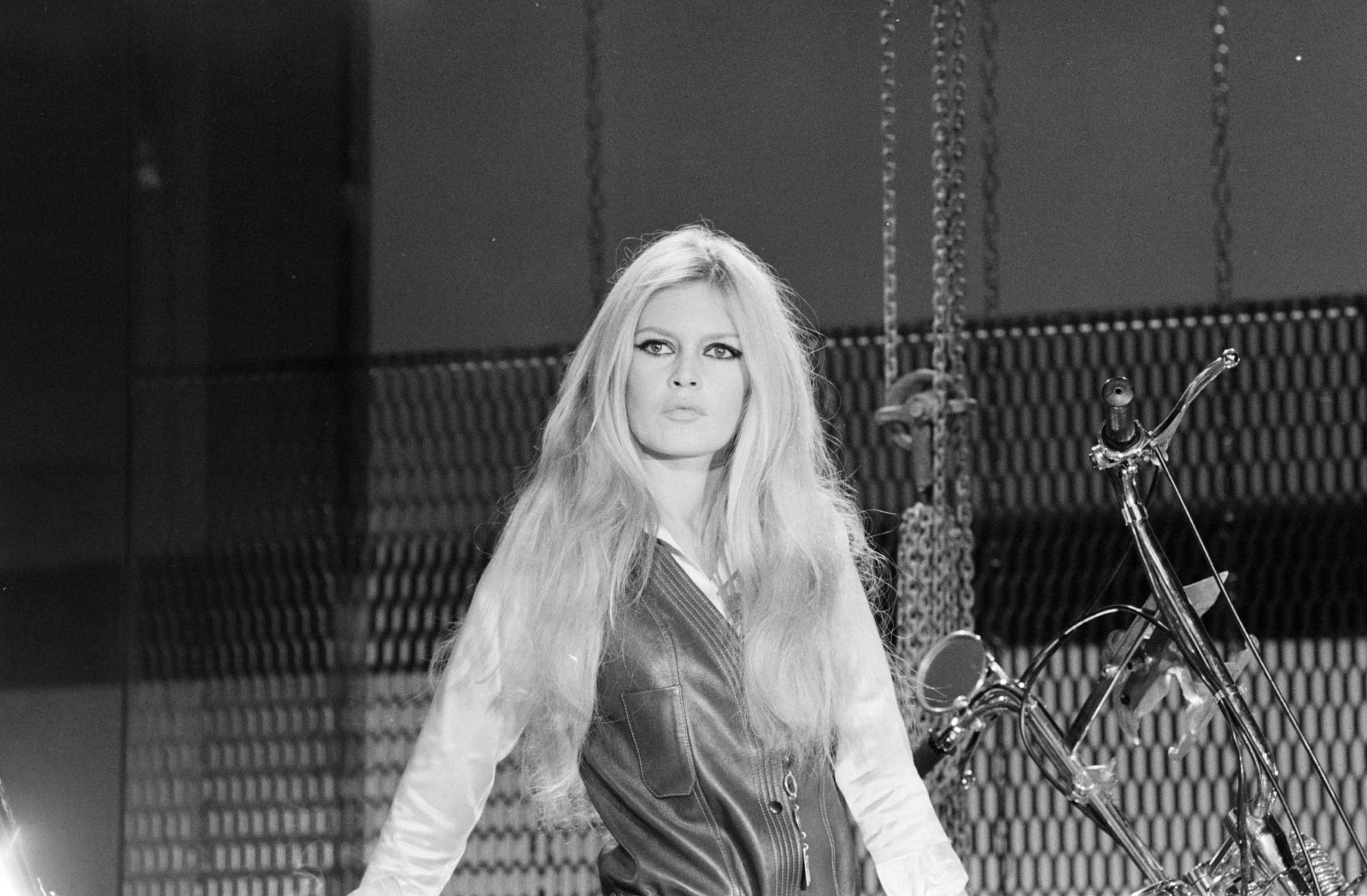 Brigitte Bardot facts