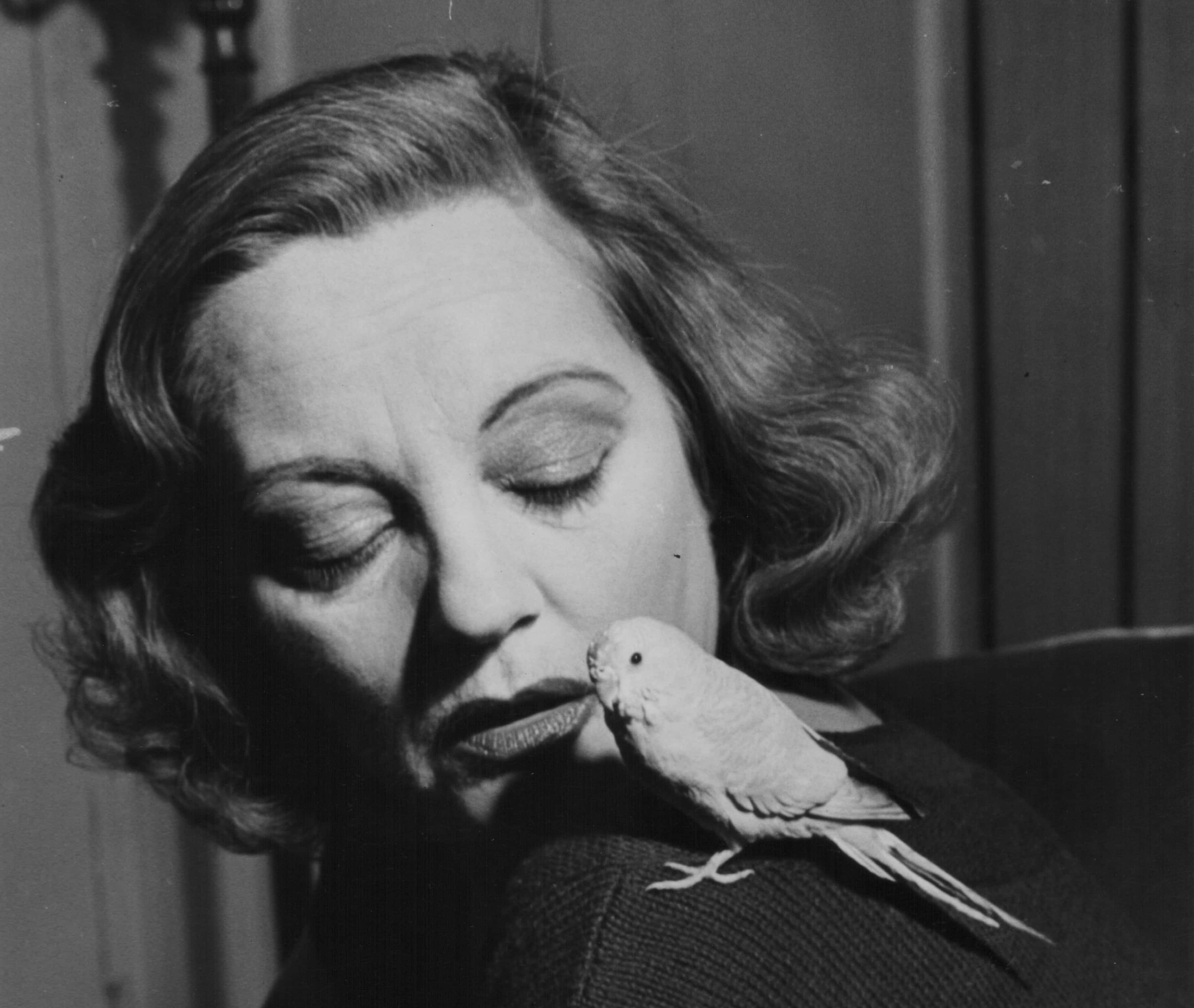 Tallulah Bankhead in black and a bird