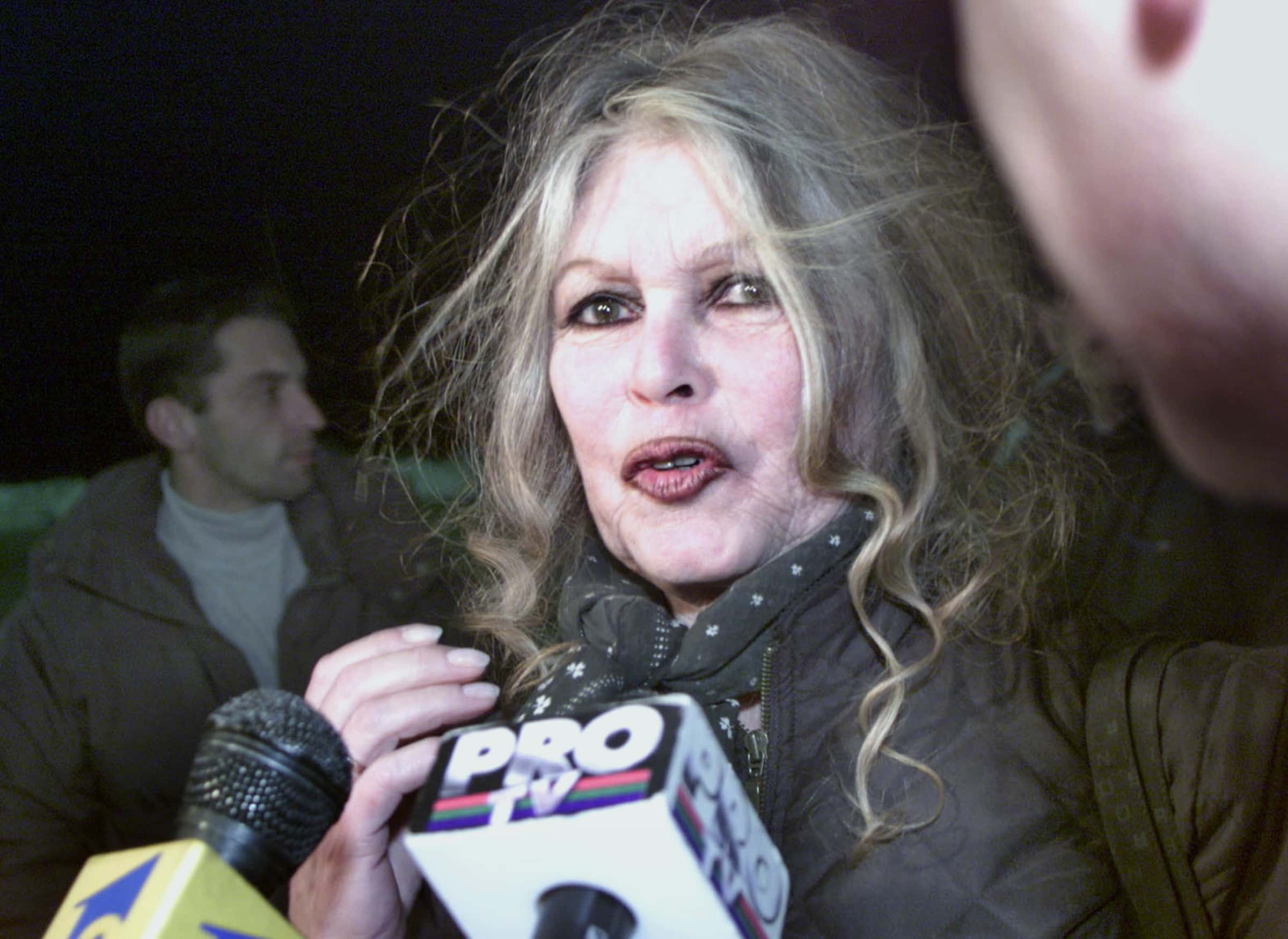 Brigitte Bardot Facts