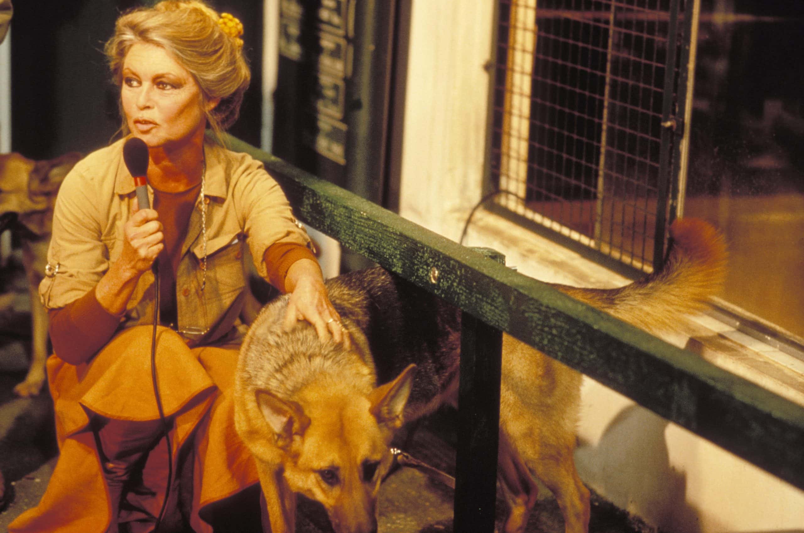 Brigitte Bardot facts