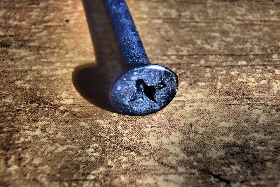 Most Metal Things They’ve Seen facts