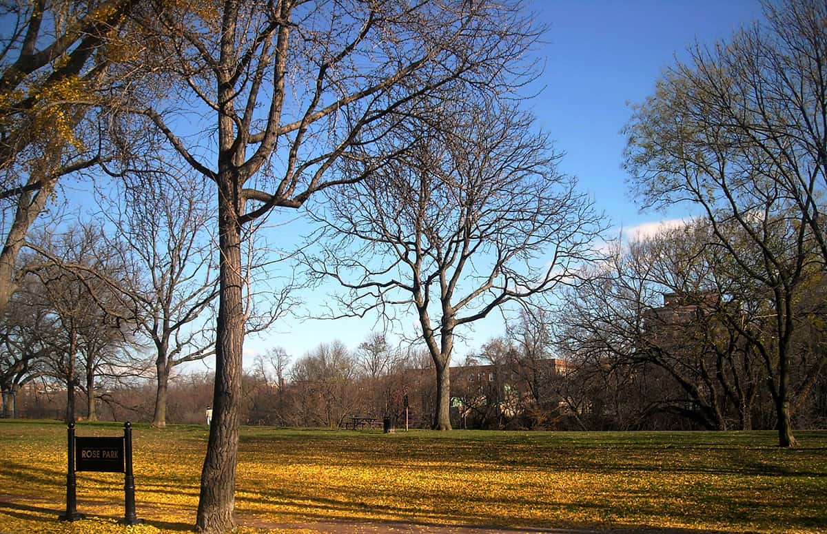 Margaret and Roumania Peters: Forgotten Champions