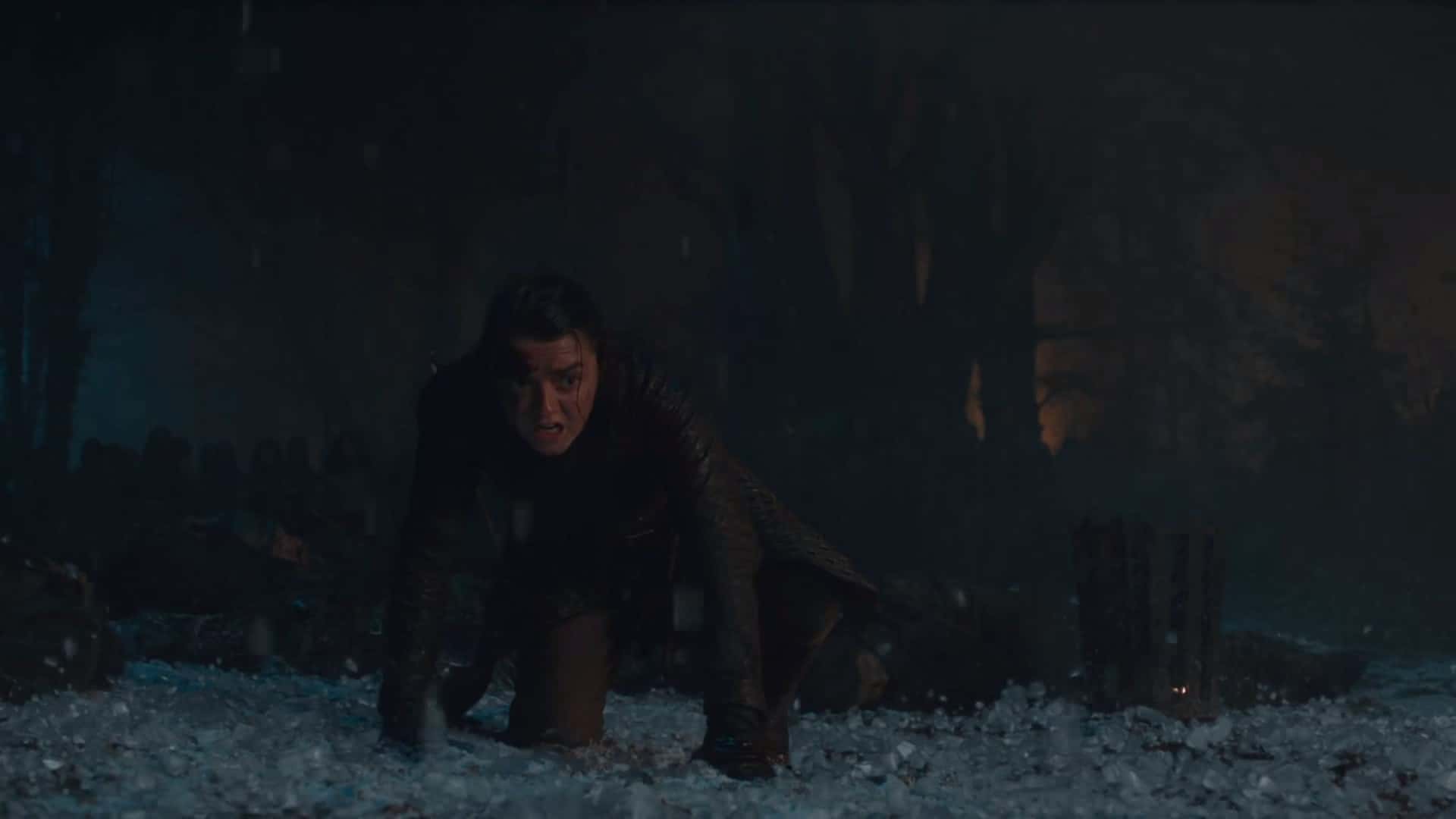 Maisie Williams Facts