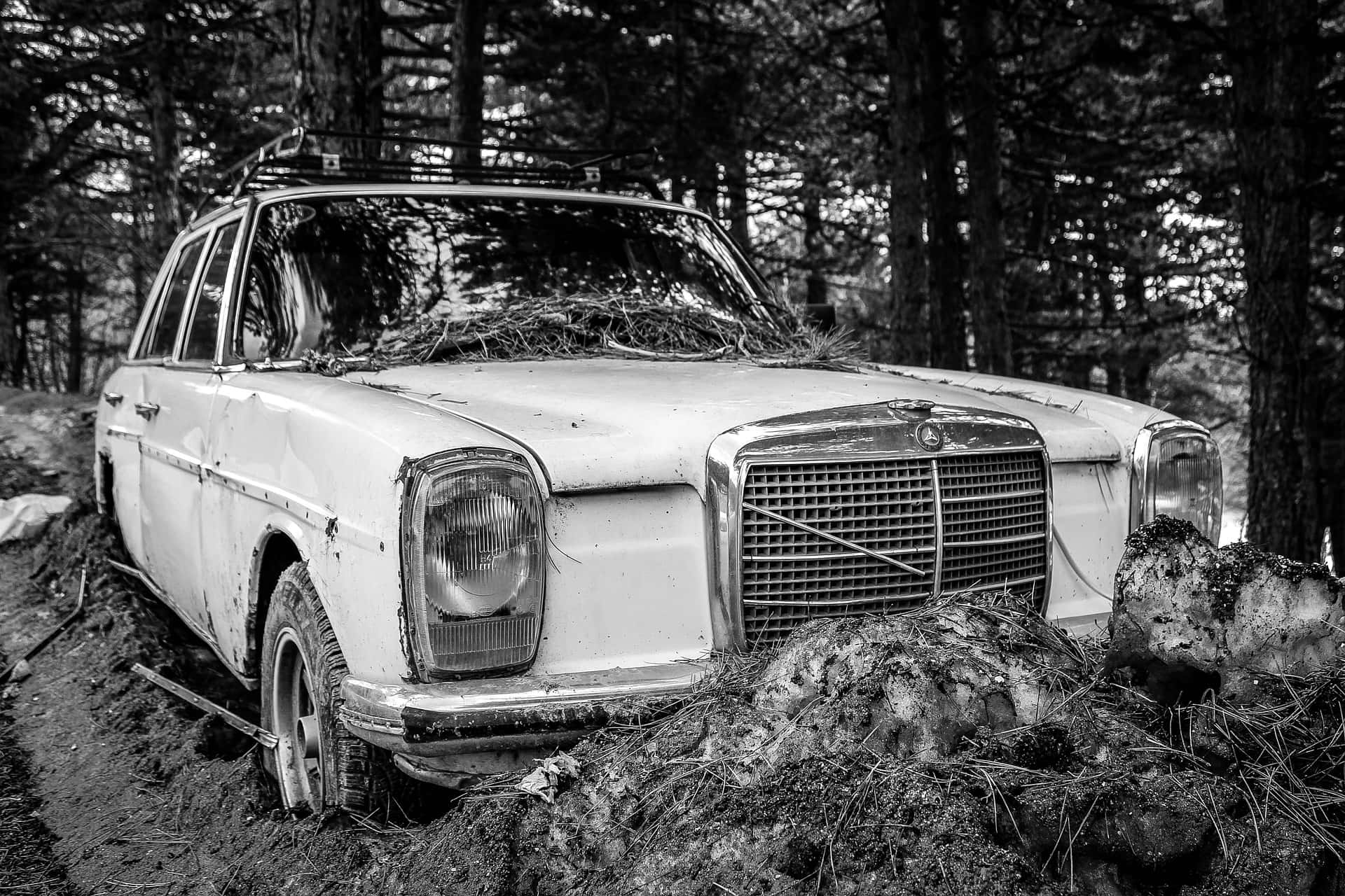 Left Life Behind facts