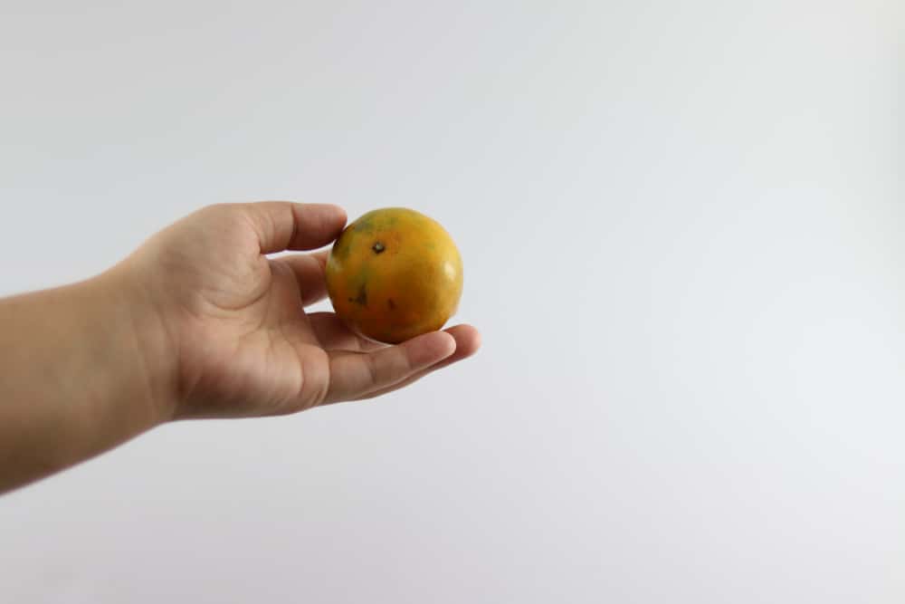 Snapped Back At Bully Facts