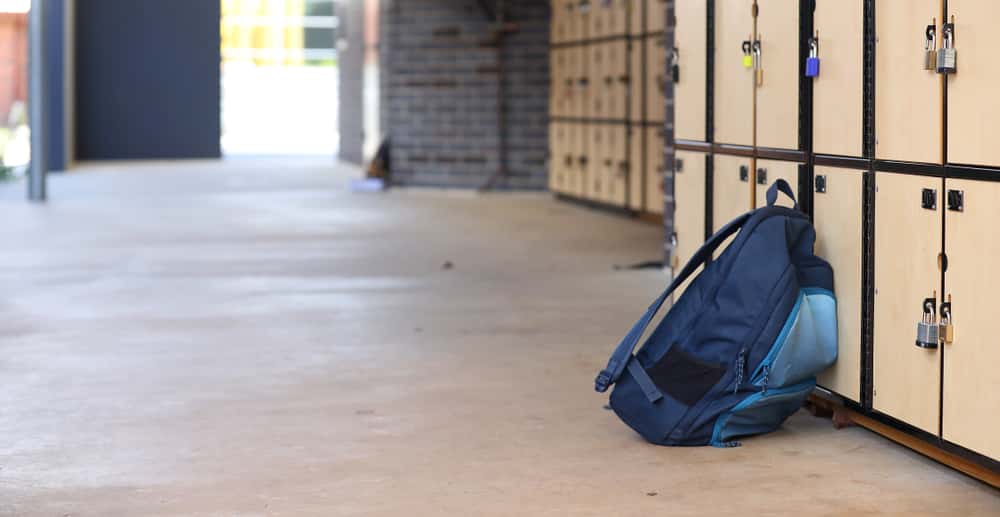 Snapped Back At Bully Facts