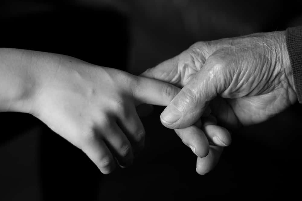 Brigitte Bardot Facts