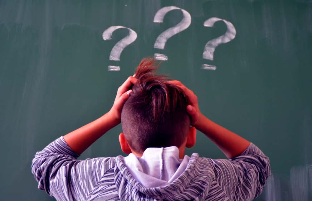 Whole Class Laughed Facts