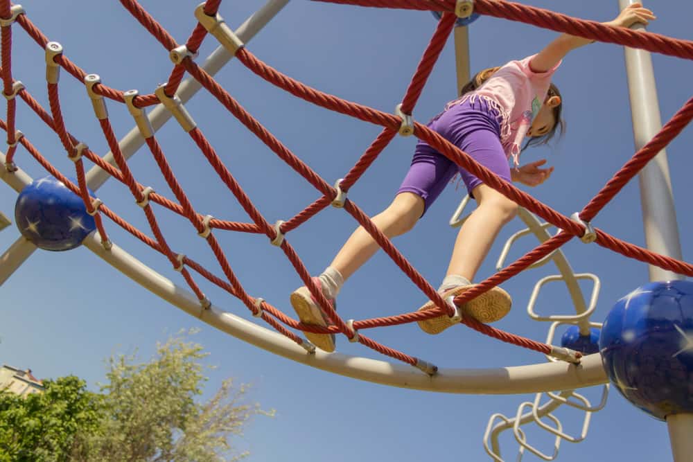 Snapped Back At Bully Facts