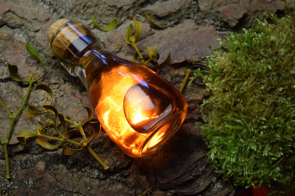 Diane de Poitiers Facts