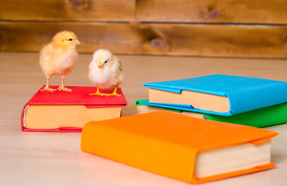 Teacher Confiscated Facts