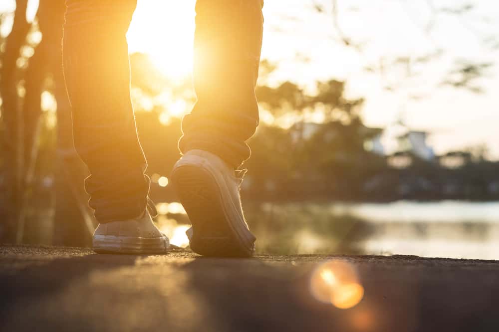 Left Life Behind facts