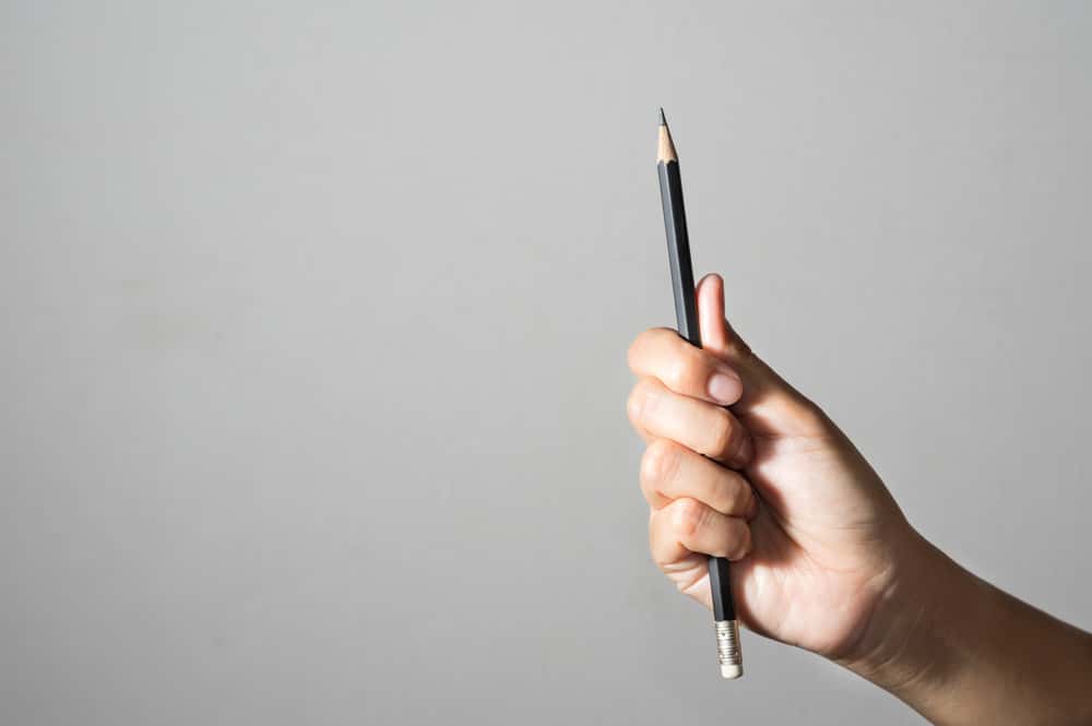 Snapped Back At Bully Facts