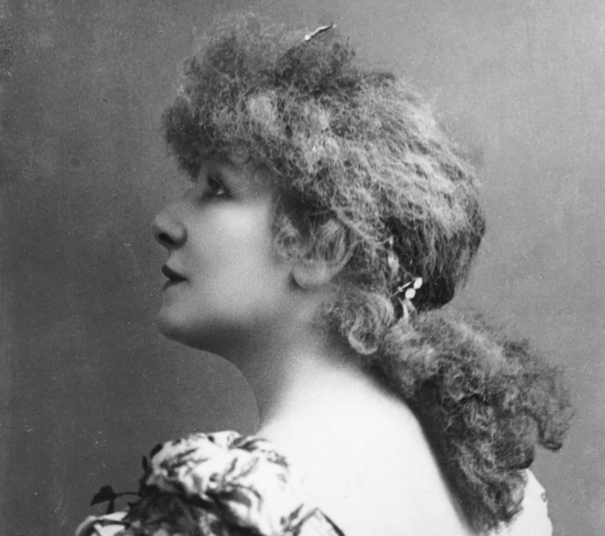Sarah Bernhardt back and hair image