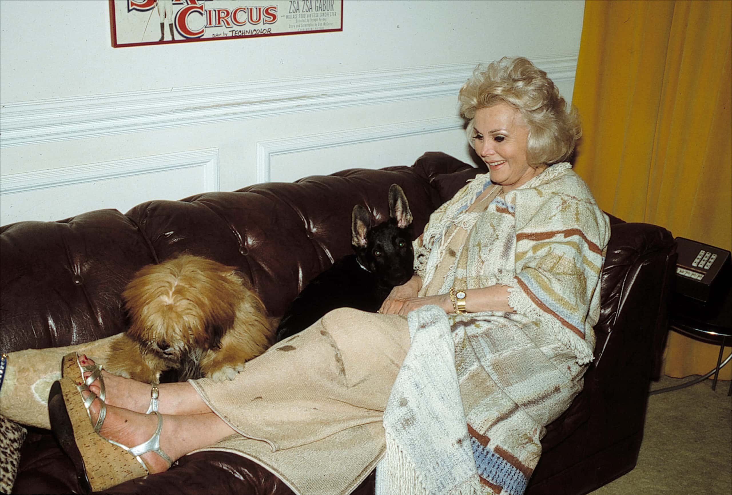 Zsa Zsa Gabor sitting on a couch with dogs