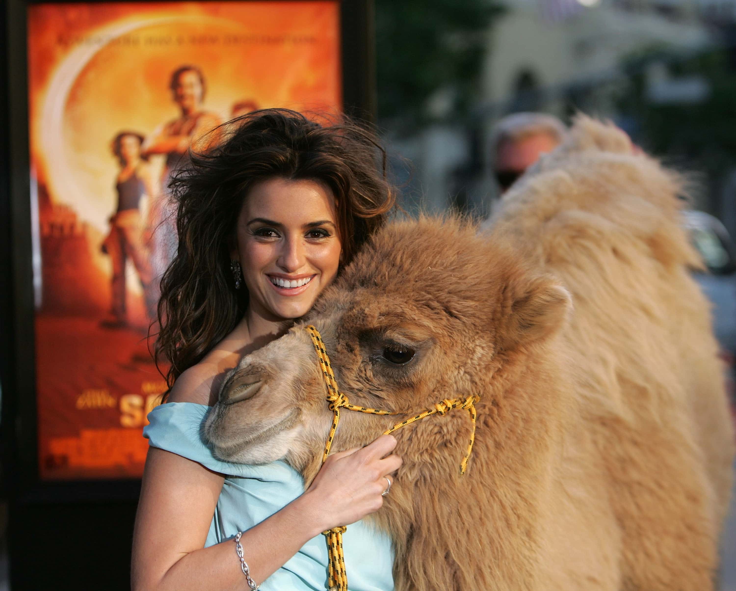 Penelope Cruz poses with a camel at premiere of "Sahara" 2005