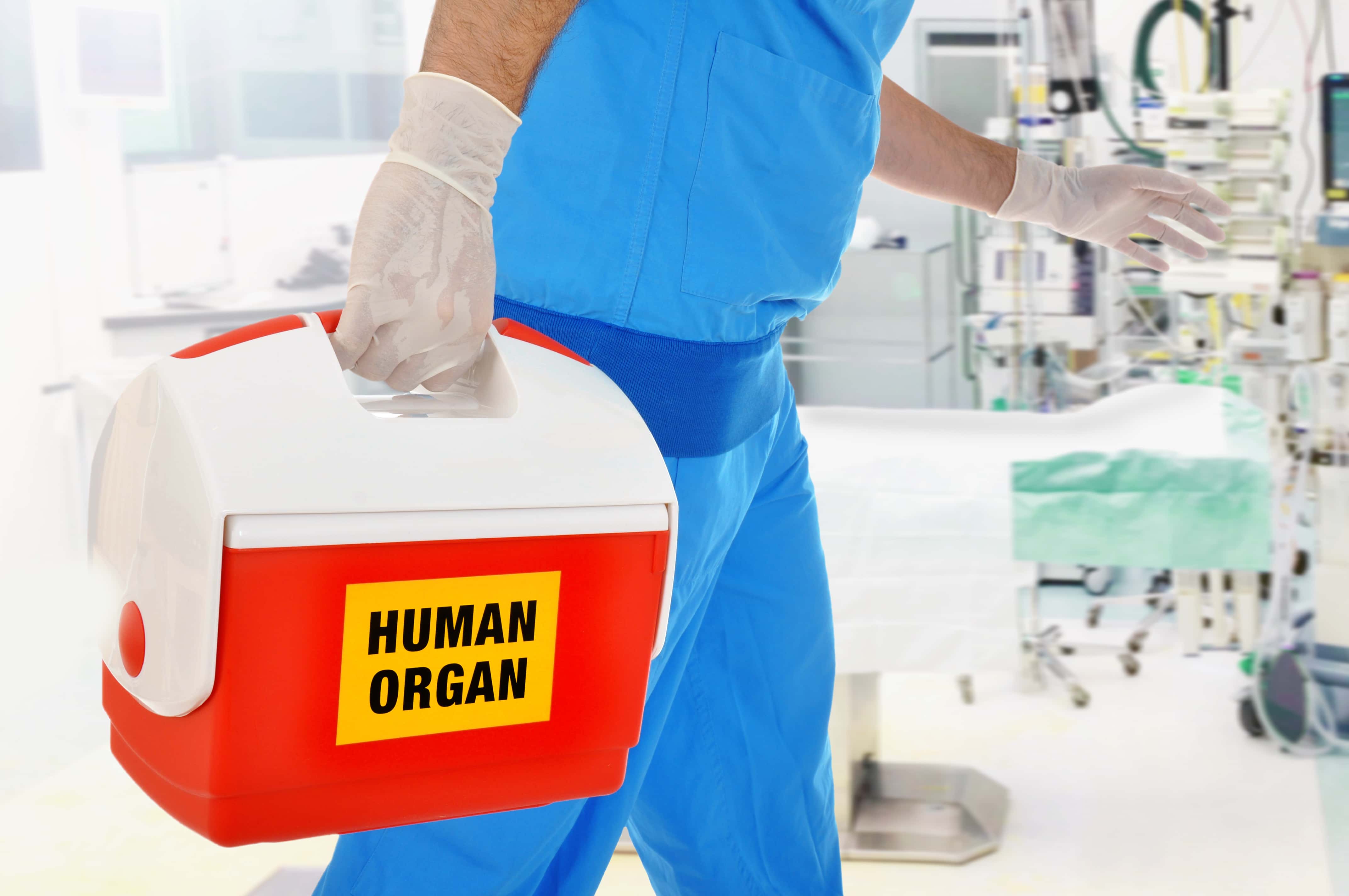 Organ Transplant
