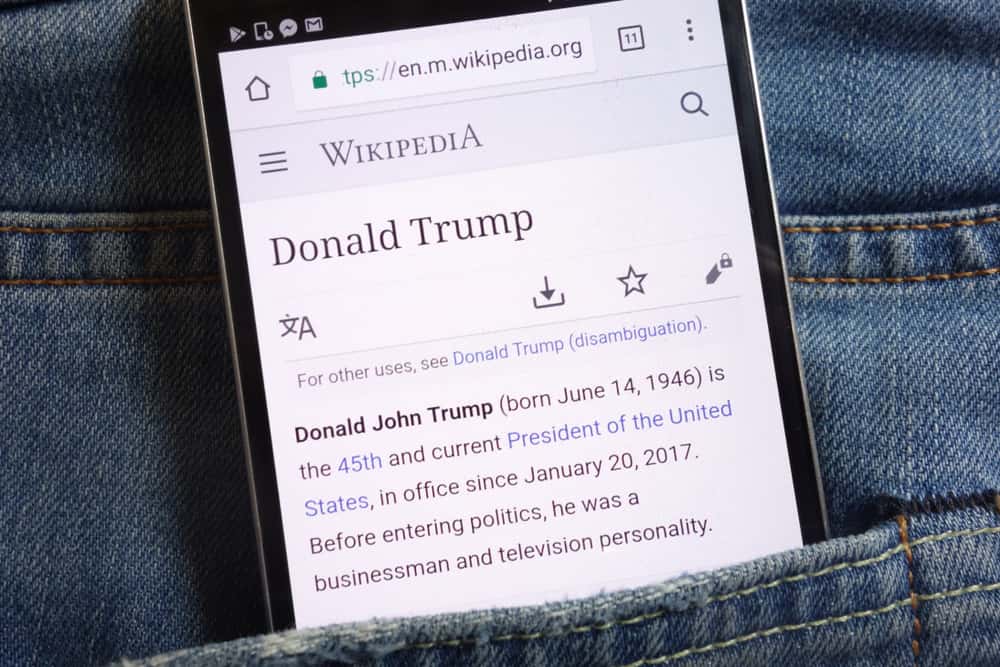 Wikipedia Facts
