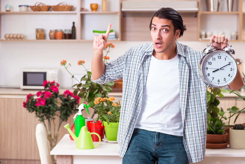 Outrageous Reasons for Divorce facts