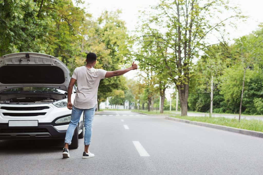 Memorable Strangers facts