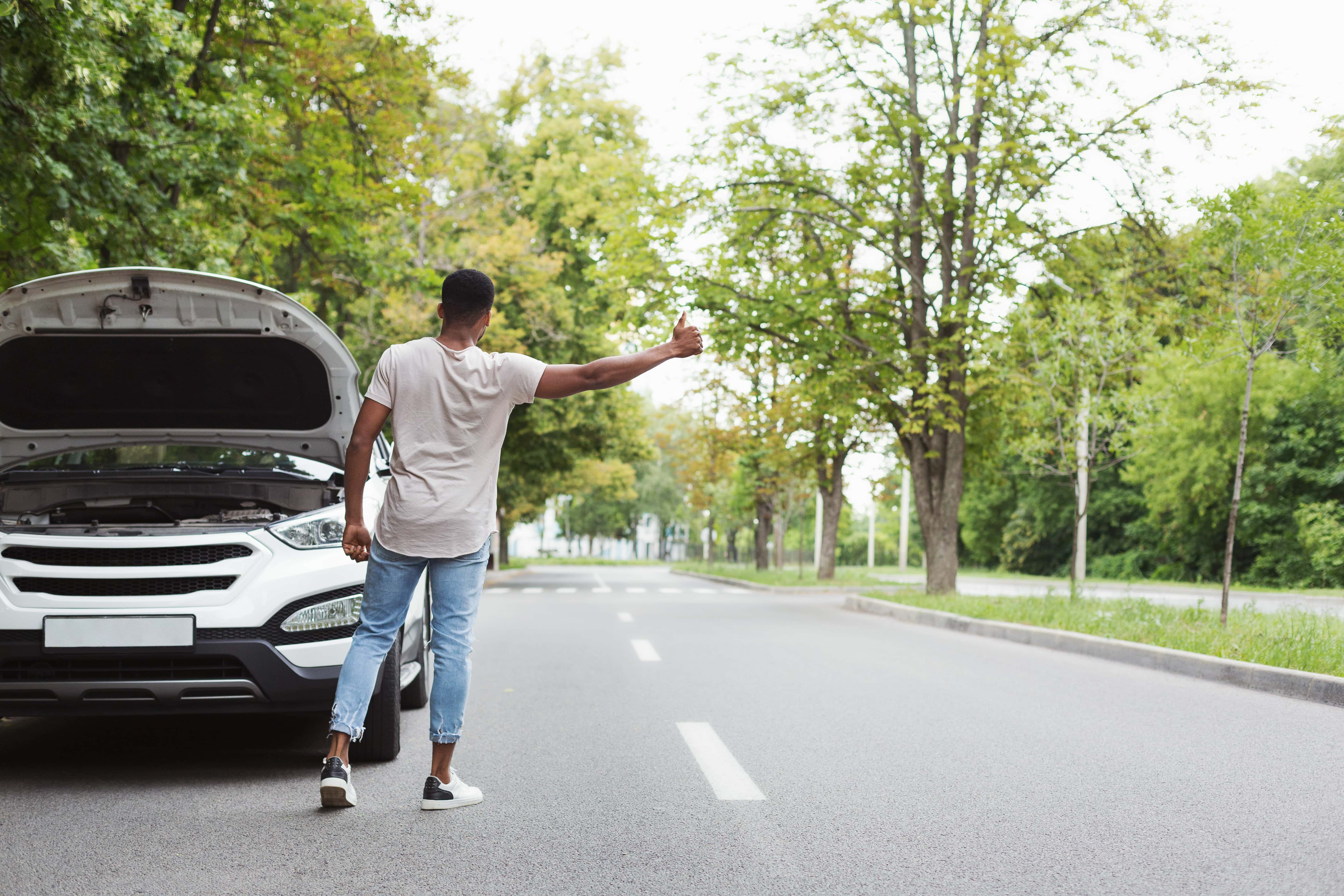 Memorable Strangers facts