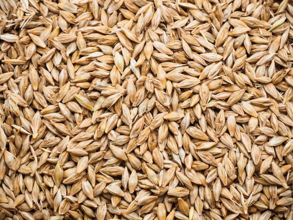 Meter History Editorial