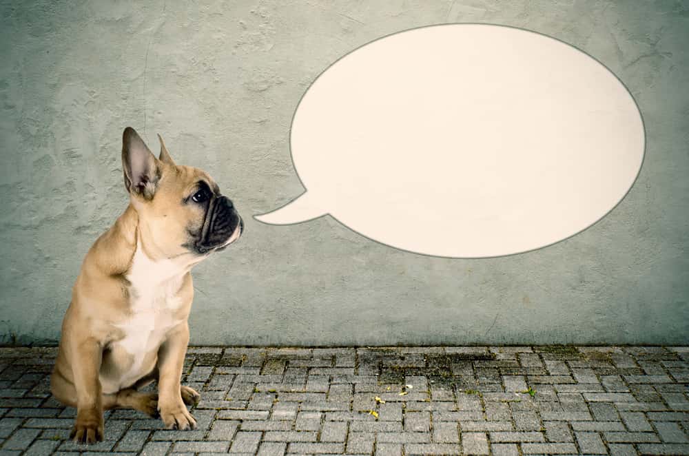 Strangest Thing Caught Doing Facts