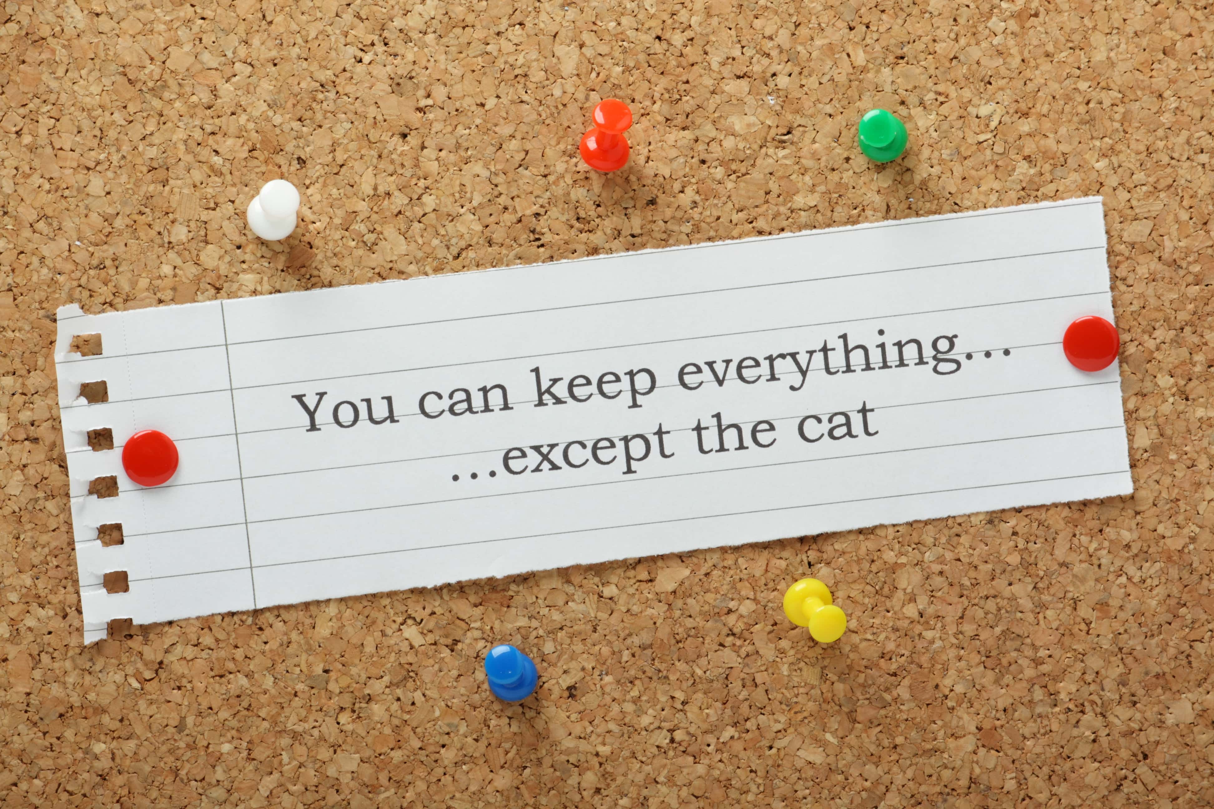 Outrageous Reasons for Divorce facts