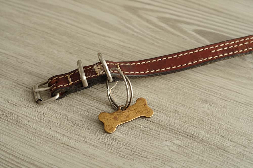 Strangest Thing Caught Doing Facts