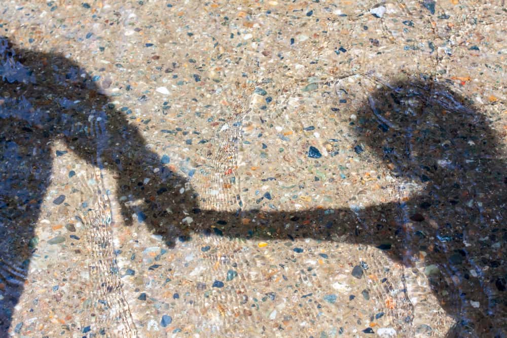 Messed With The Wrong Person Facts