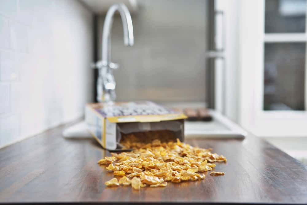 What Is My Life Facts