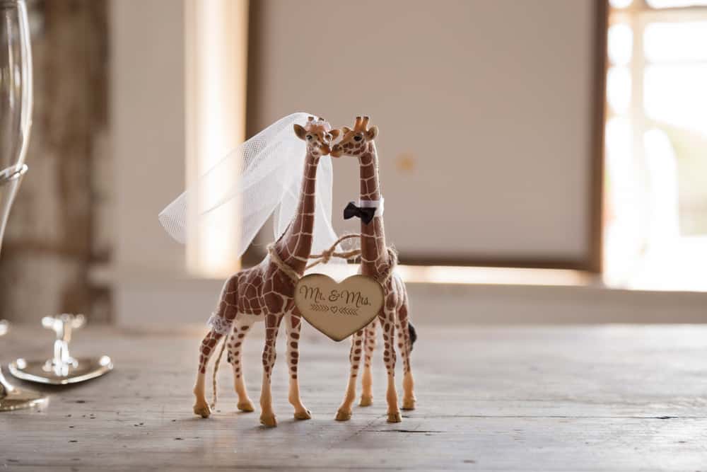 Best/Worst Wedding Facts