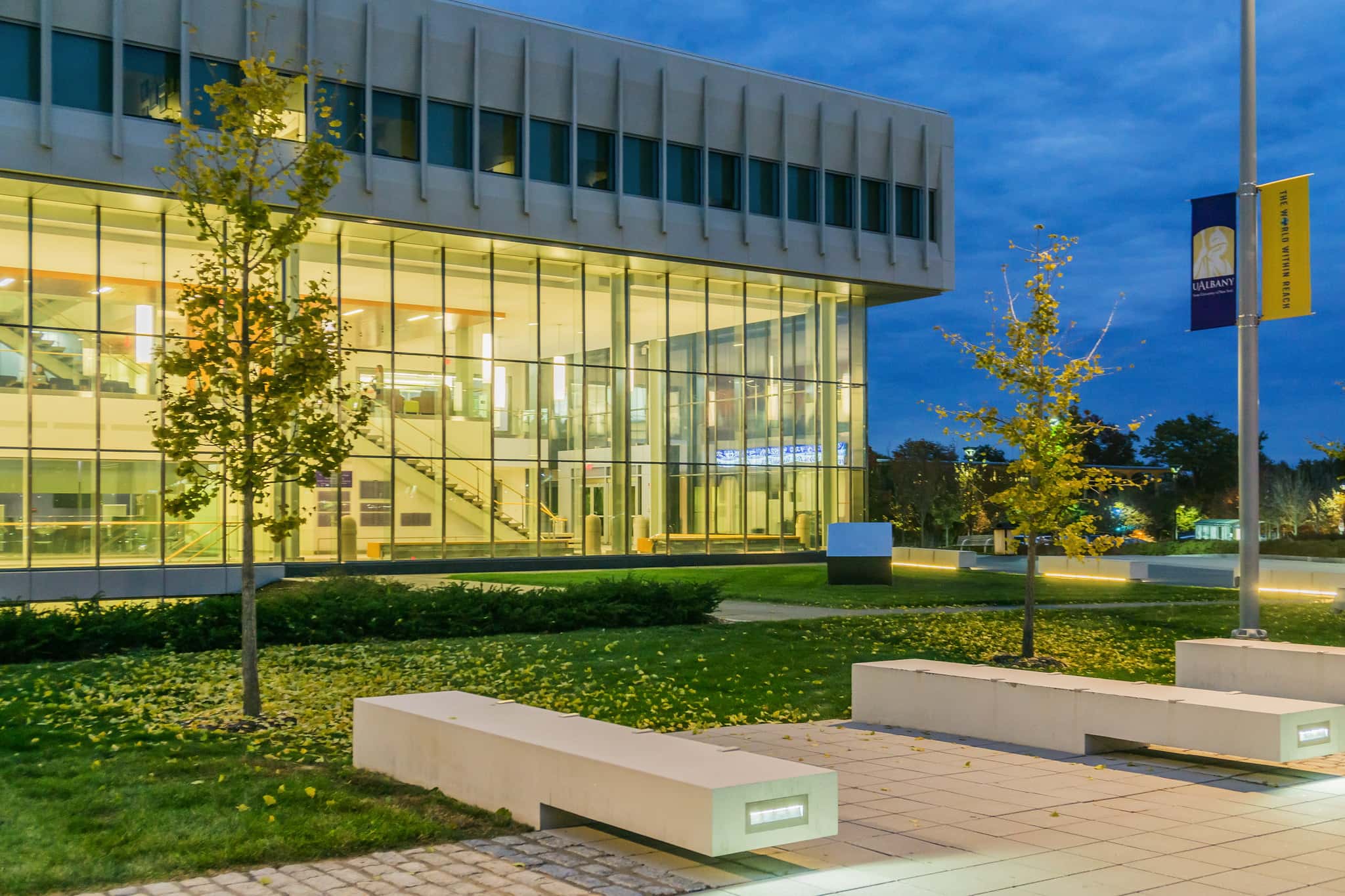 State University of New York at Albany