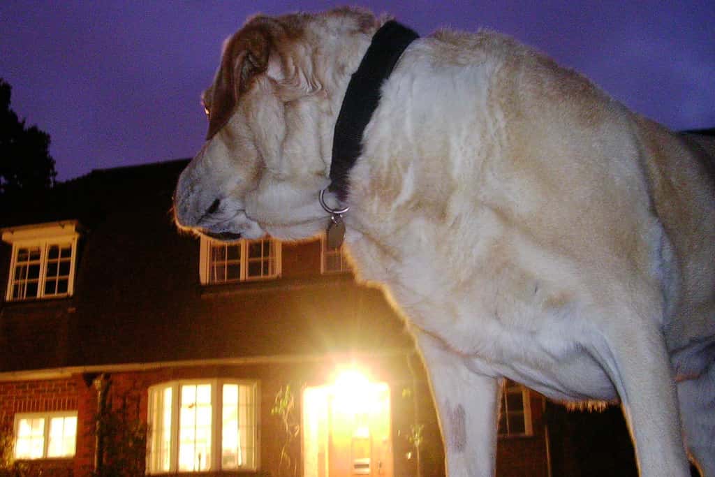 Late Night Hikers Facts