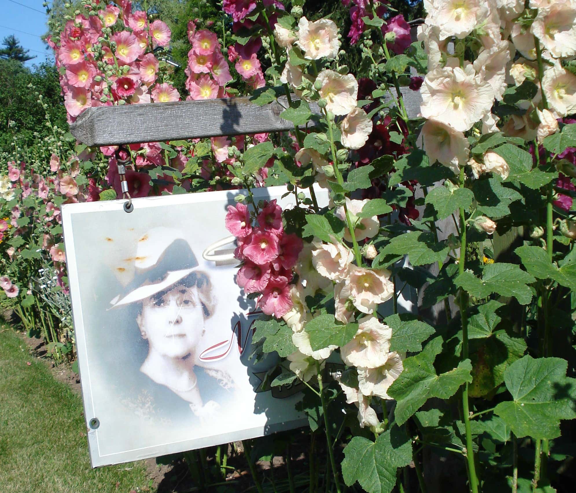 Anne Of Green Gables Facts