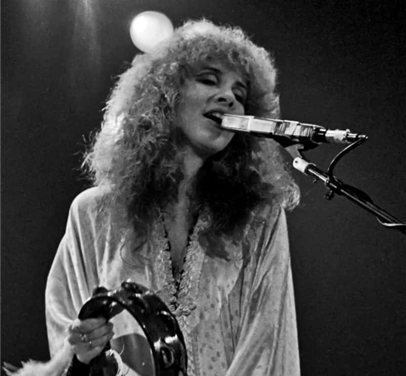 Stevie Nicks Facts