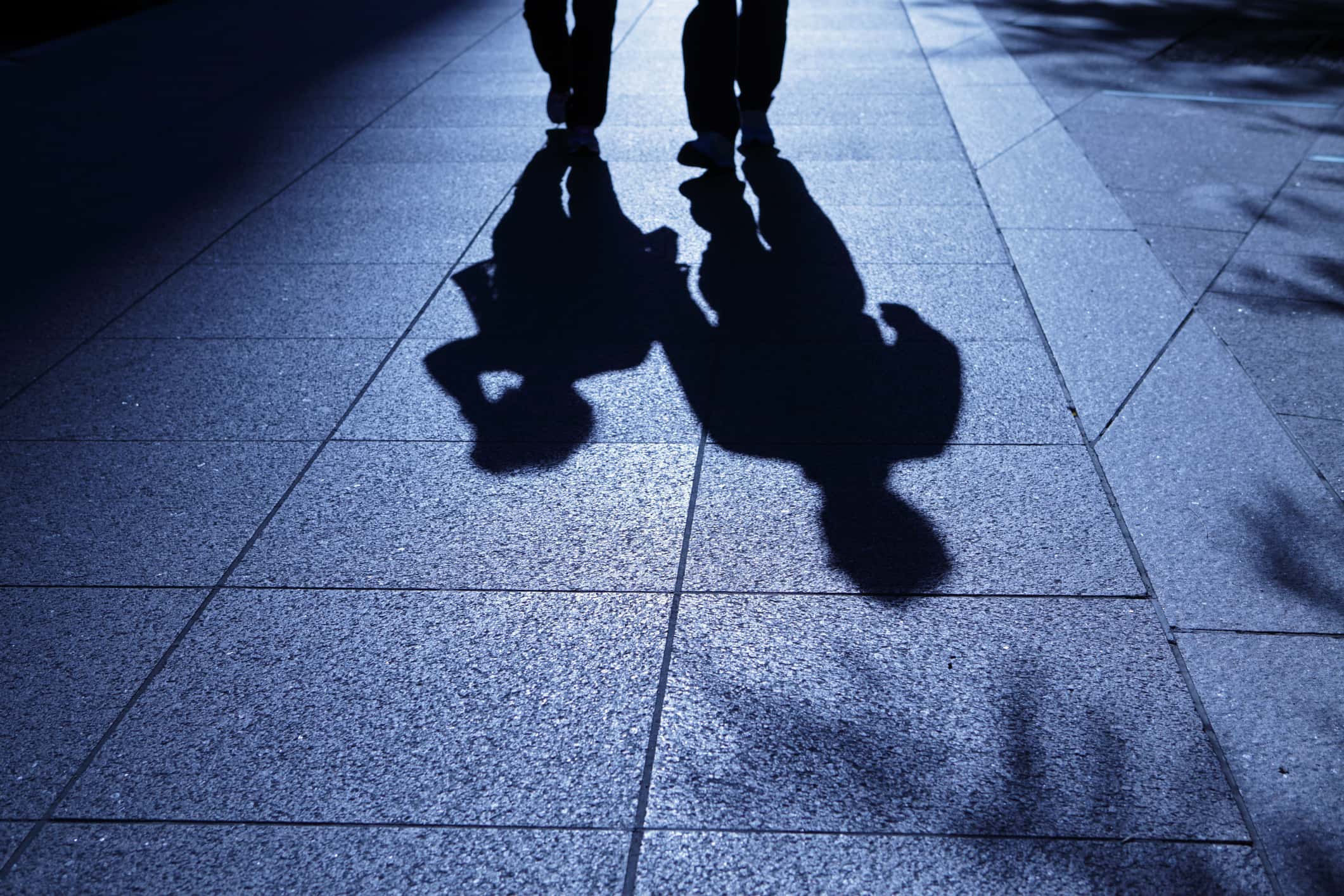 Late Night Hikers Facts